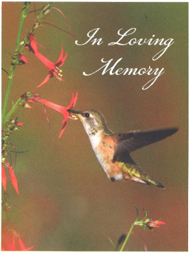 Linda Jacobson Memorial Folder